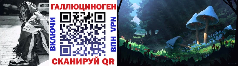 Псилоцибиновые грибы мицелий  Суджа 